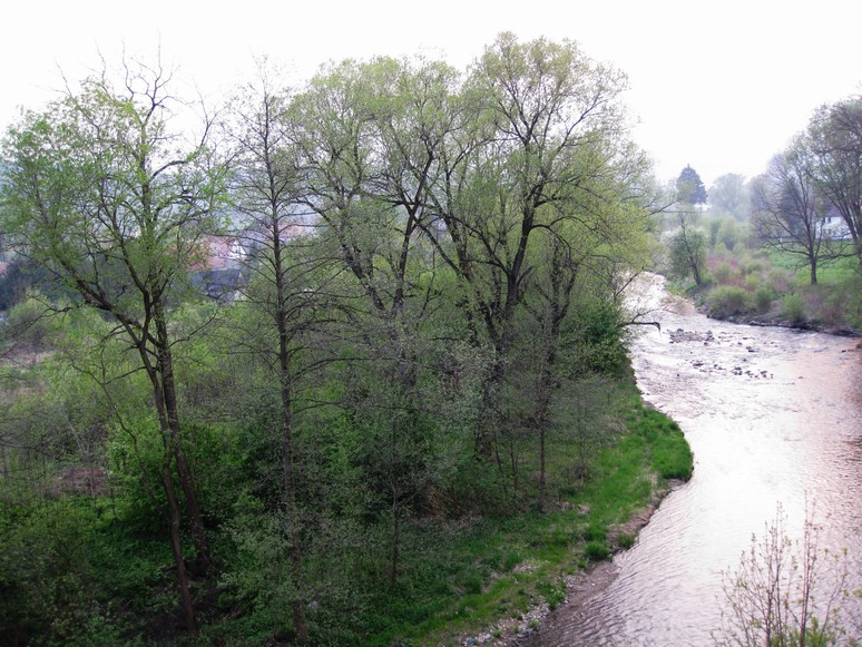 n_19.23.50 Trzebieszowice (Kunzendorf).jpg